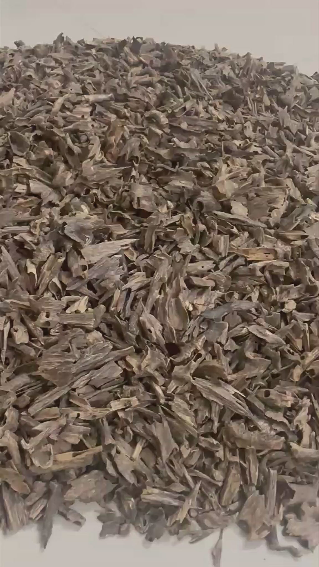 Oud Hindi Muri Aslan