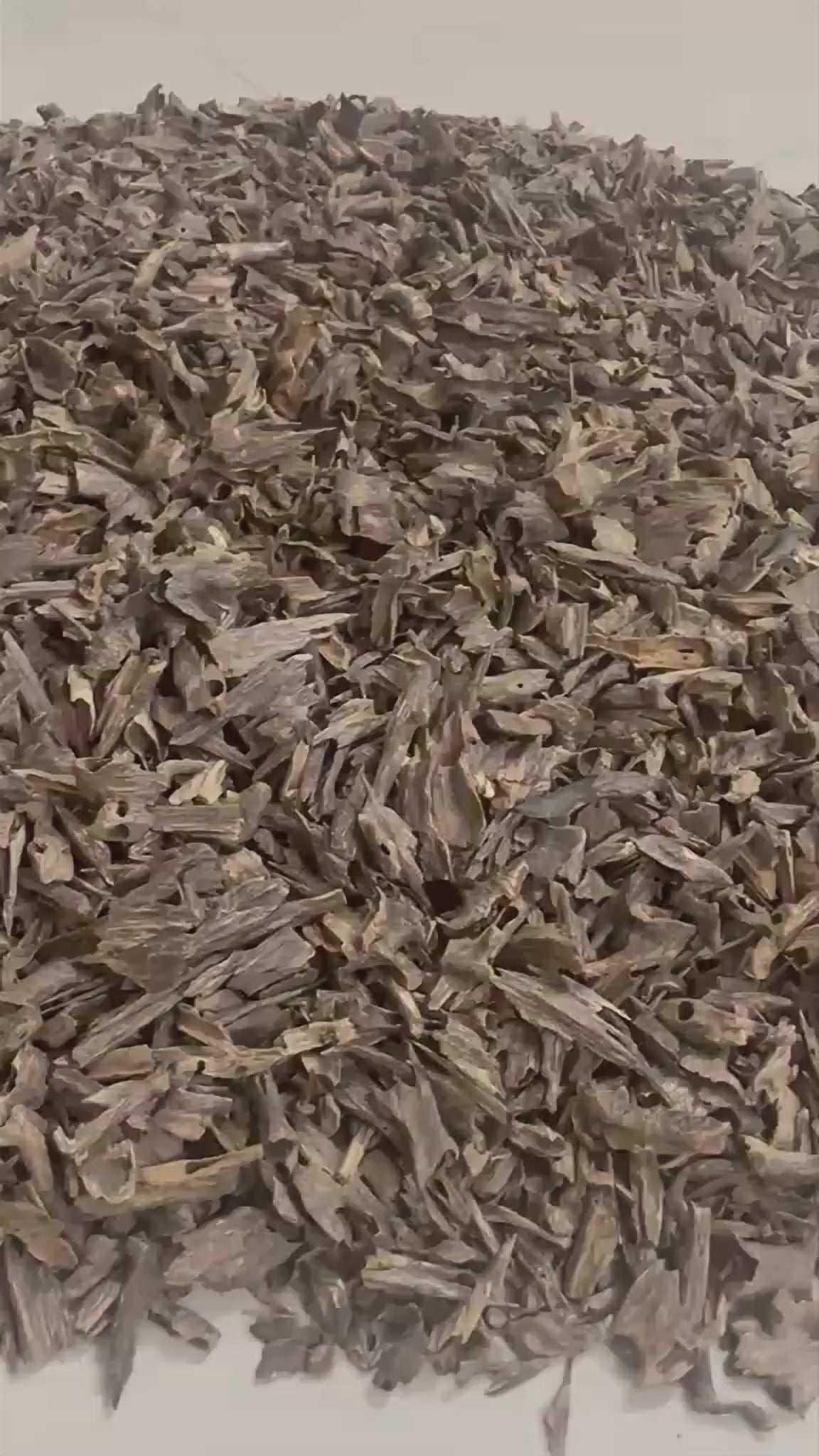 Oud Hindi Muri Aslan