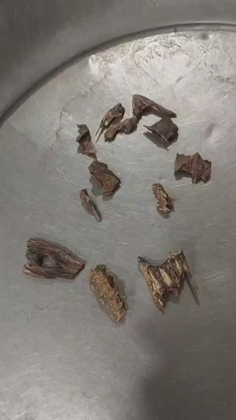 Hindi Oud Muri Chocolate - Indian Oud
