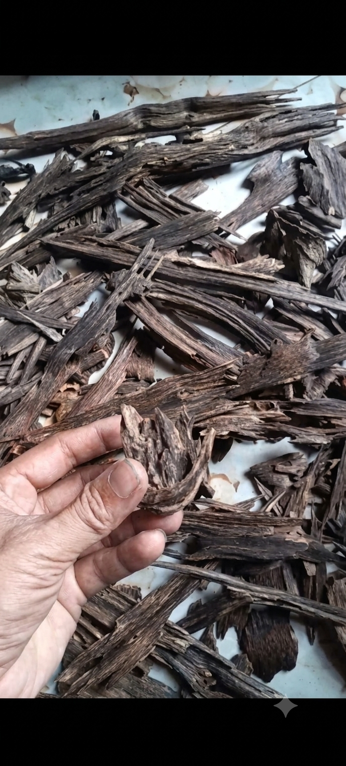 Oud Bandarban Aswad Supreme - Burma Bangladesh Border.