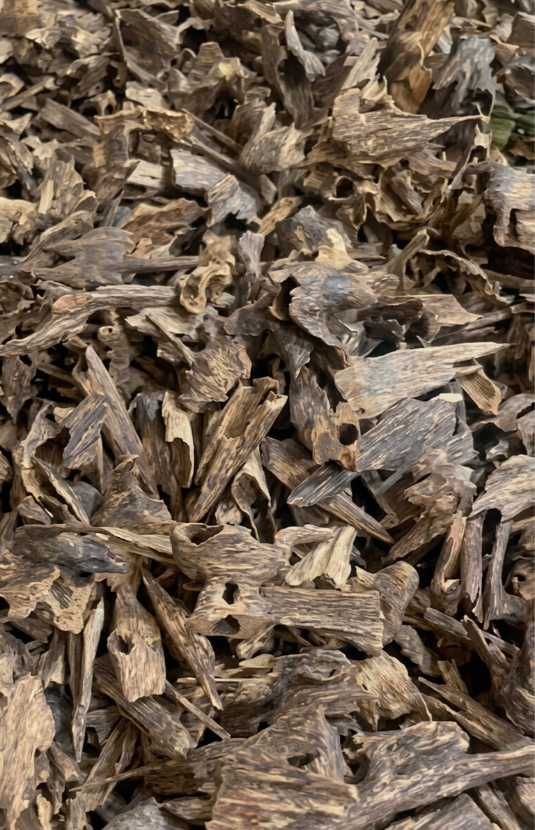 Oud Hindi Muri Aslan